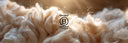 B Corp™ Certified
