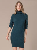 Supersoft Turtle Neck Knee-Length Dress